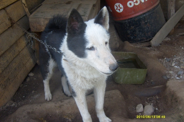 S6300390.JPG