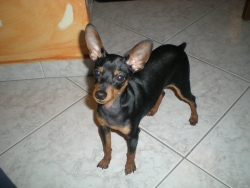 DSCN1665.JPG