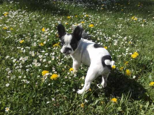 010520101746.jpg