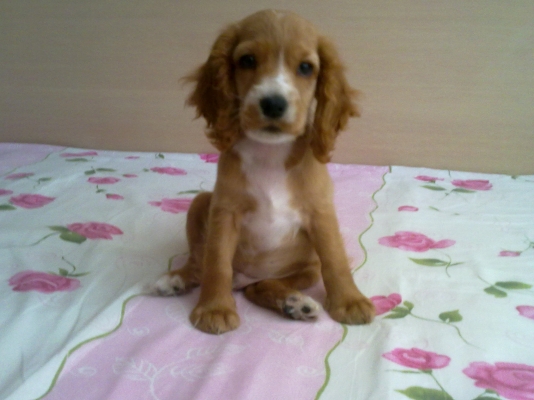 260820102093.jpg