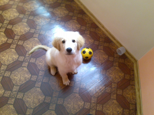 19082010271.jpg