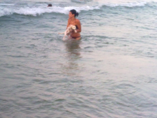 10082010060.jpg