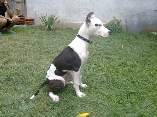 10092010095.jpg