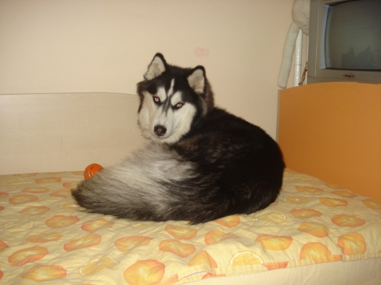 DSC04022.JPG
