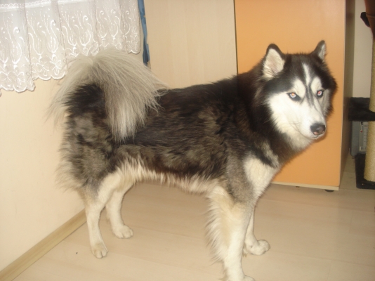DSC06424.JPG