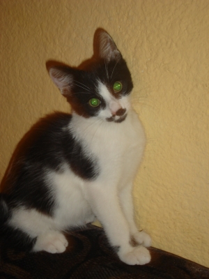 DSC01427.JPG