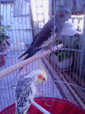IMG0023A.jpg