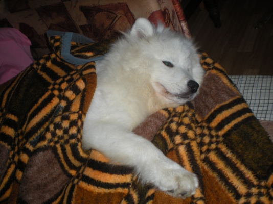 DSCN5555.JPG
