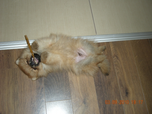DSCN0961.JPG