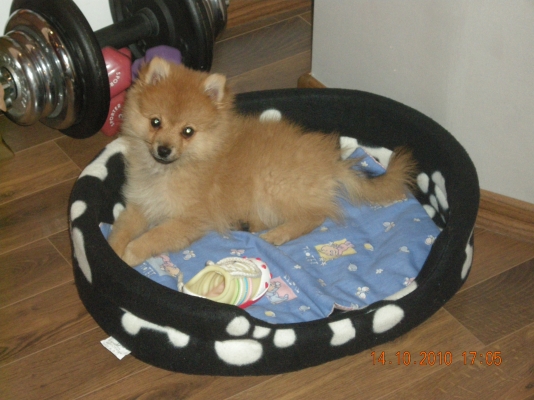 DSCN1039.JPG