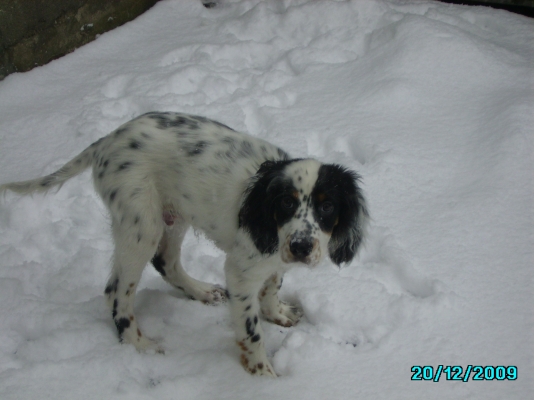 IMGP0229.JPG
