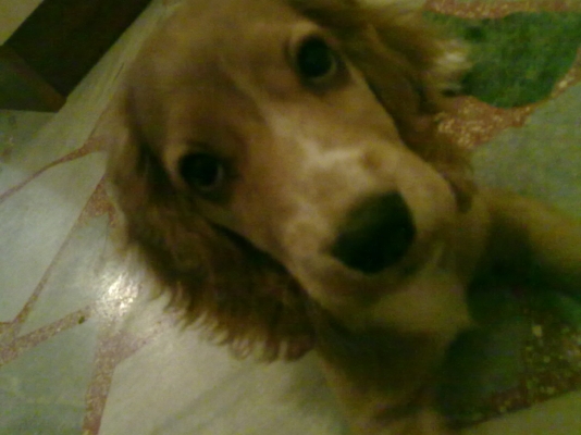 180920102433.jpg