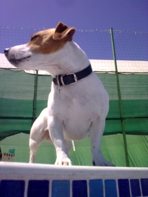 28042010449.jpg