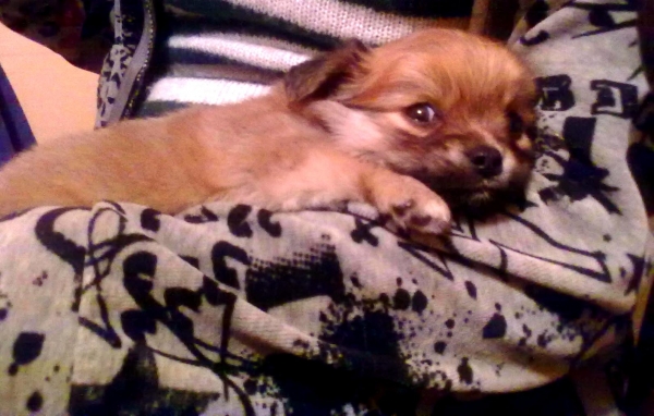 06102010015.jpg
