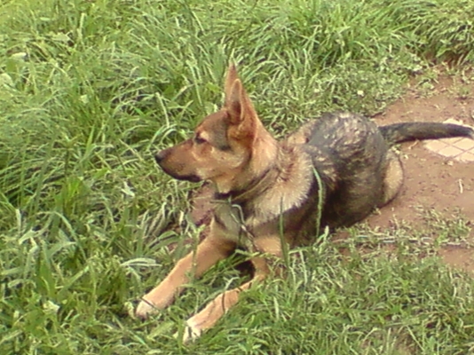 DSC07875.JPG