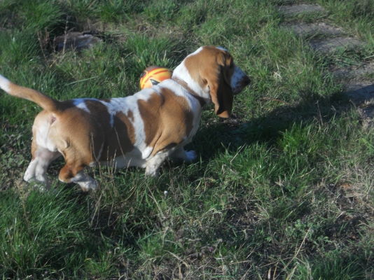 DSCN0618.JPG