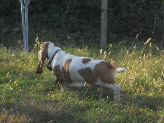 DSCN0615.JPG
