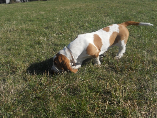 DSCN0595.JPG
