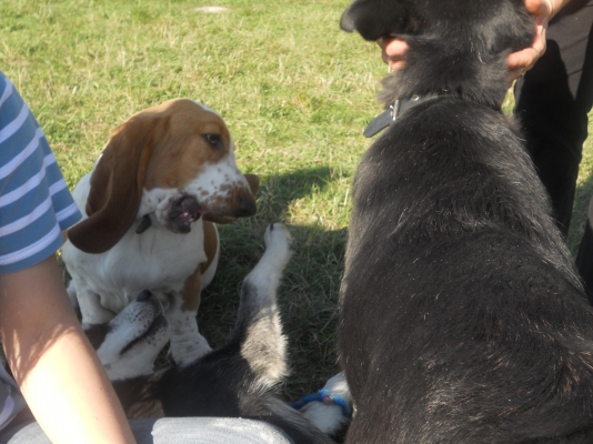 DSCN0600.JPG
