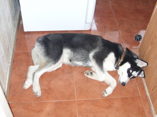 SN851278.JPG