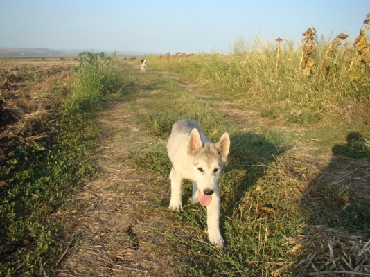 DSC03666.JPG