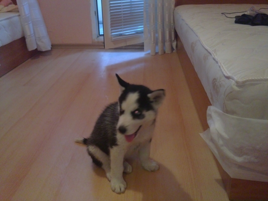 30062010008.JPG