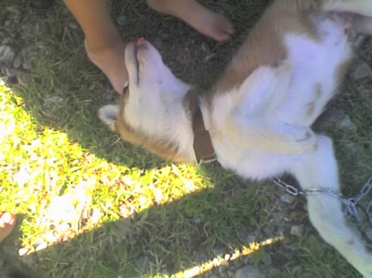 30-07-10_1717.jpg