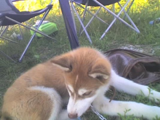 30-07-10_1721.jpg