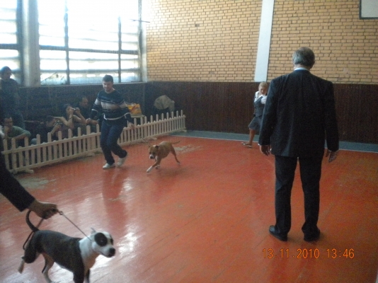 DSCN3888.JPG