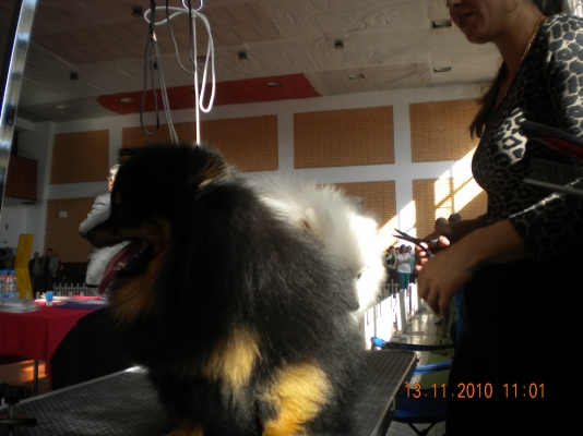 DSCN3830.JPG