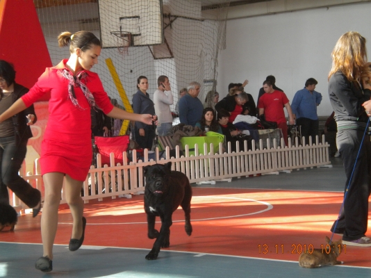 DSCN3758.JPG