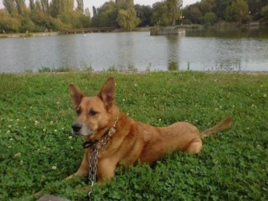 DSC00044.jpg