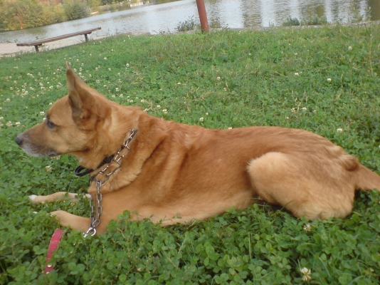 DSC00045.jpg