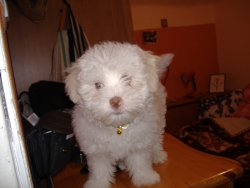 DSCF3744.JPG
