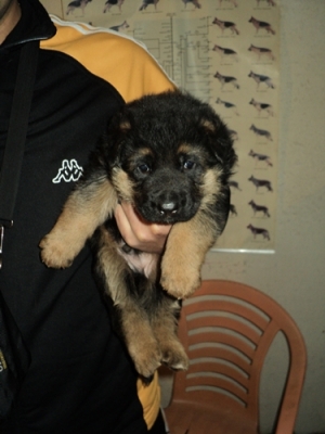DSC01626.JPG