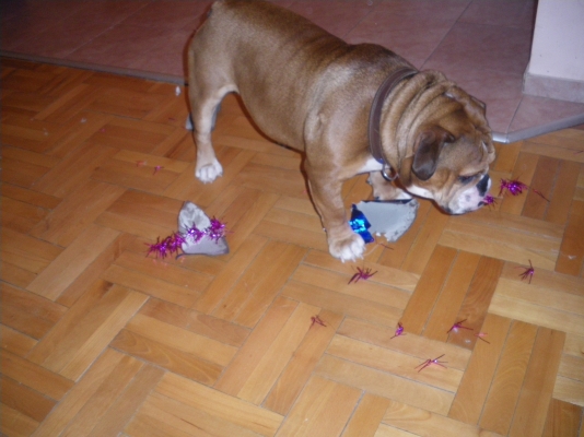 IMGP0624.JPG