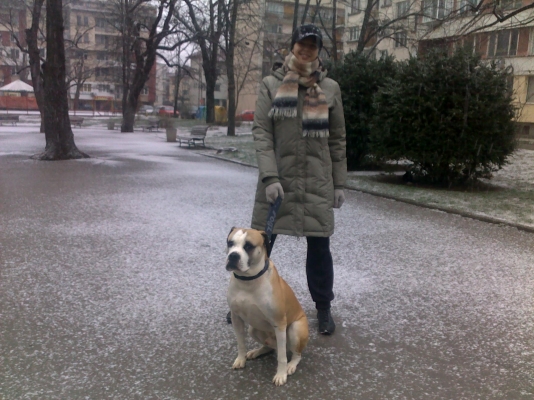 13122010168.jpg