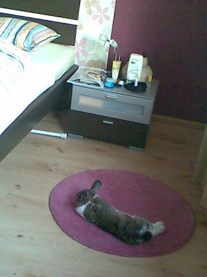 Bild136.jpg