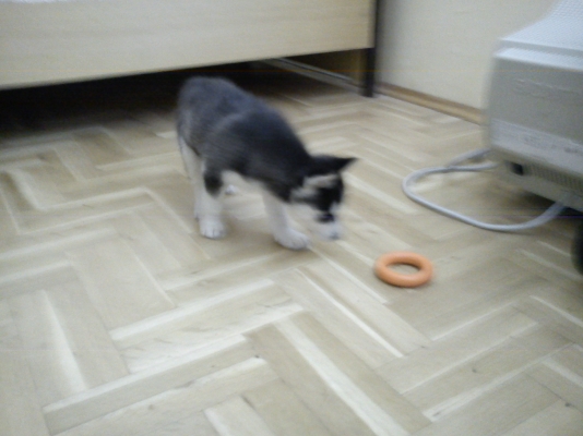 DSC00301.JPG