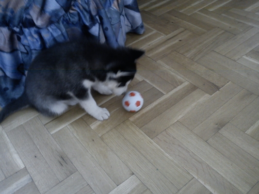 DSC00298.JPG
