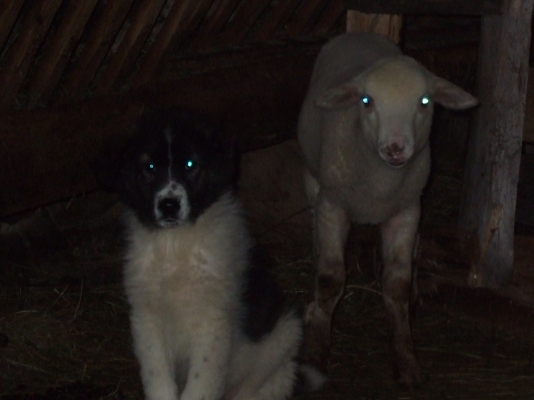 DSCF4384.JPG