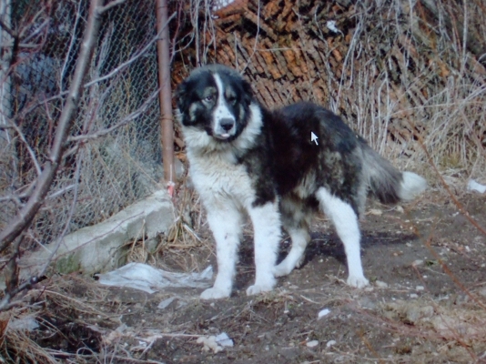 DSCF1673.JPG
