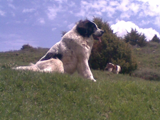 12052010.jpg