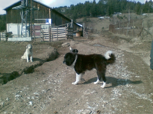 16022009.jpg
