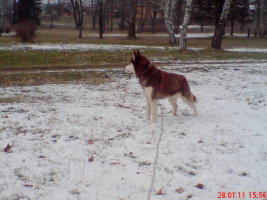 DSC02562.JPG