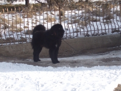 DSCF5646.JPG