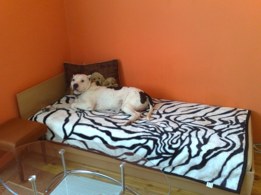 18042010567.jpg