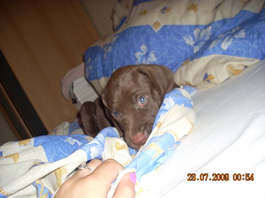DSCN3940.jpg