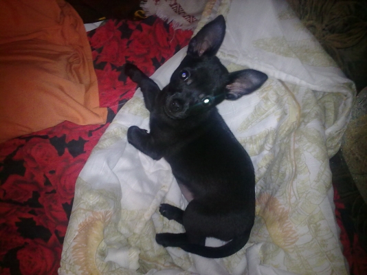 25012011167.jpg