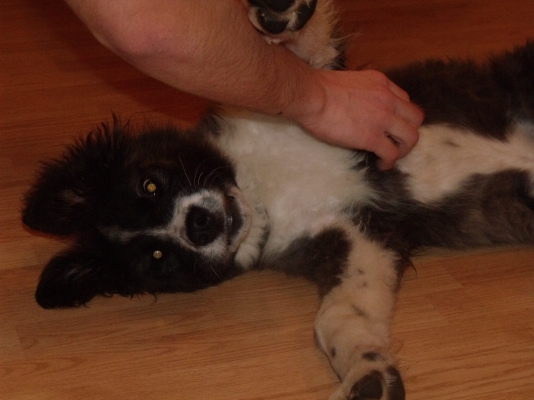 Picture 071.jpg